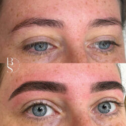 Hybrid Brows